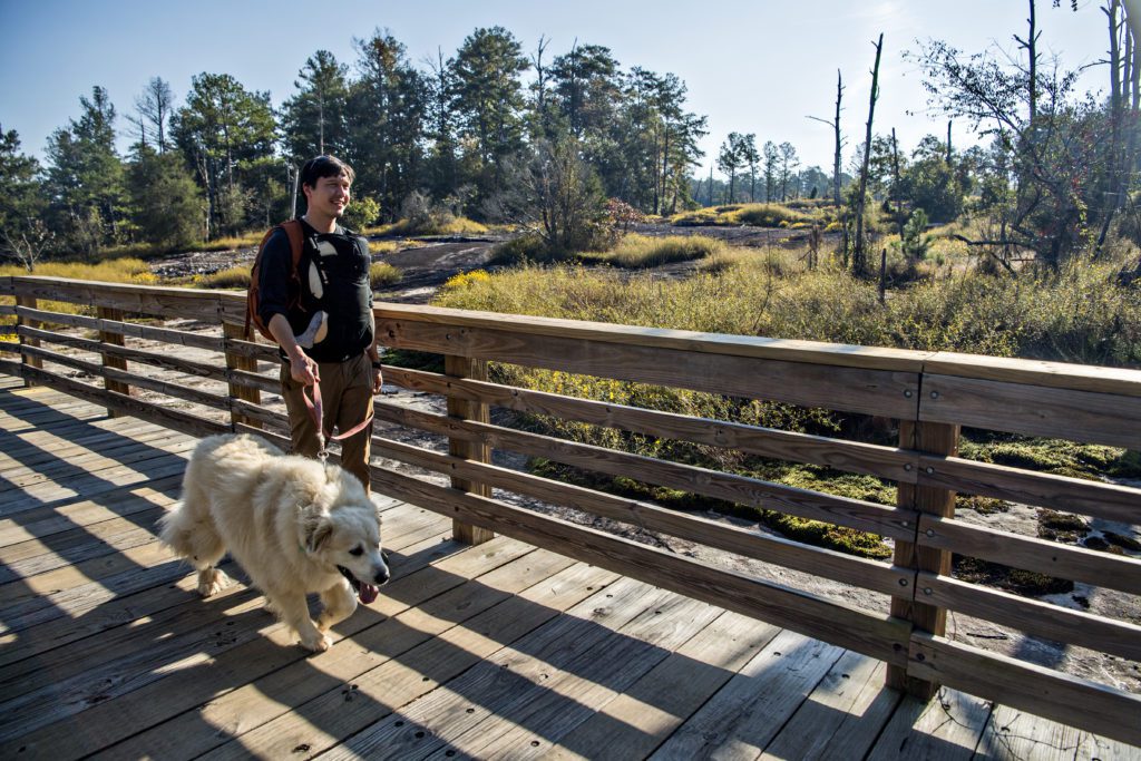 A person wearing a baby carrier and walking a large, fluffy dog stops on a wooden bridge to admire the natural area around them, which is full of tall trees and brush.